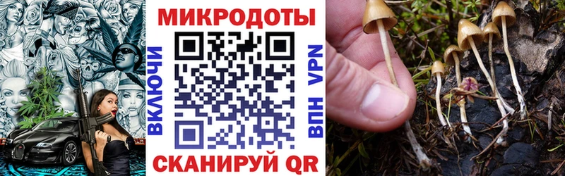 Псилоцибиновые грибы мухоморы  KRAKEN зеркало  Саяногорск 