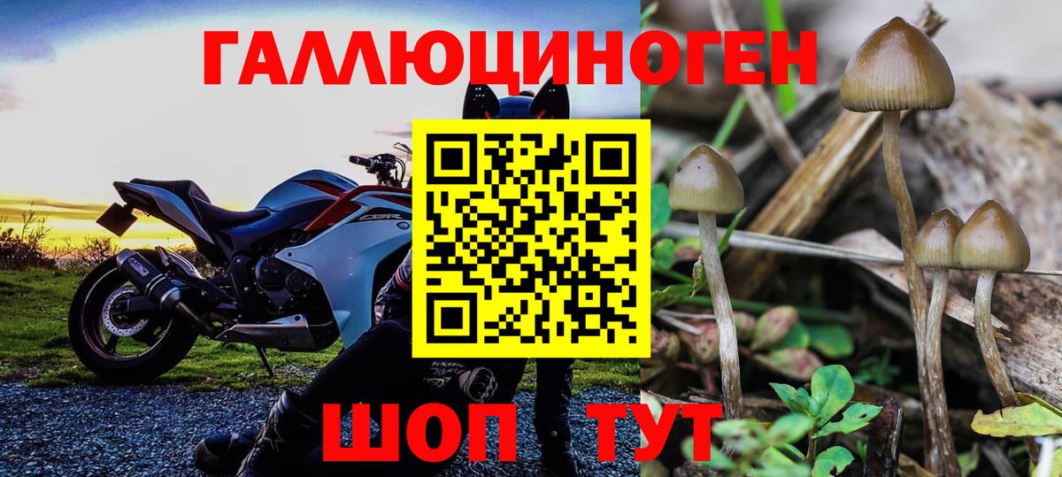 Галлюциногенные грибы мухоморы  продажа наркотиков  Саяногорск  Вход с VPN  Псилоцибиновые грибы мицелий 