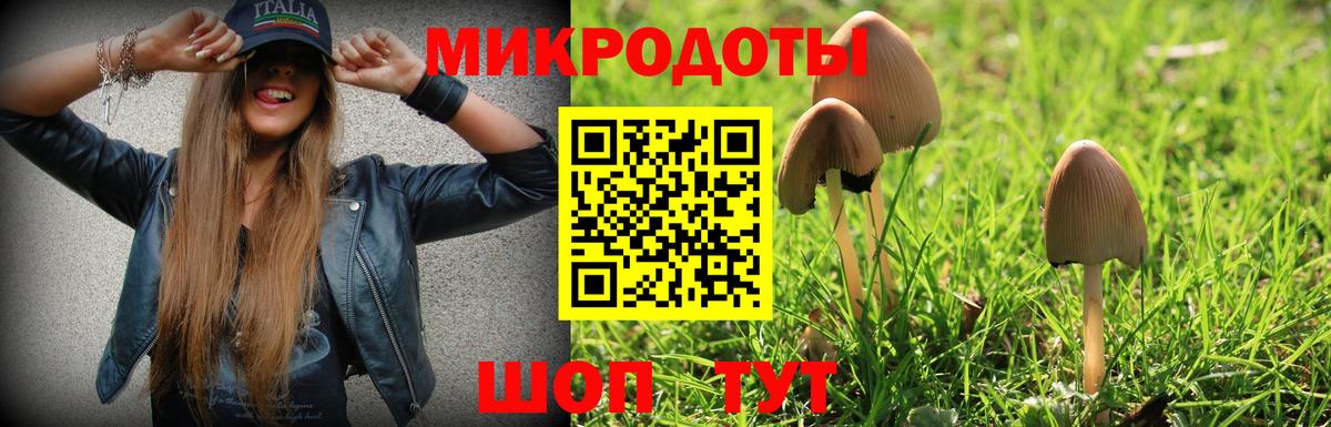 Галлюциногенные грибы мицелий Саяногорск